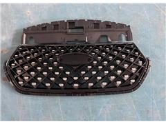 Grill Assembly 602001594AA