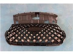 Grill Assembly 602001574AA