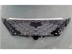 Grill Assembly 602002028AAAKX
