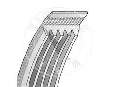 Belt 5PK884