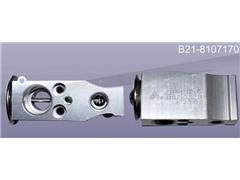 A/C Expansion Valve B21-8107170
