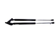 Trunk Air Spring 68960-12310